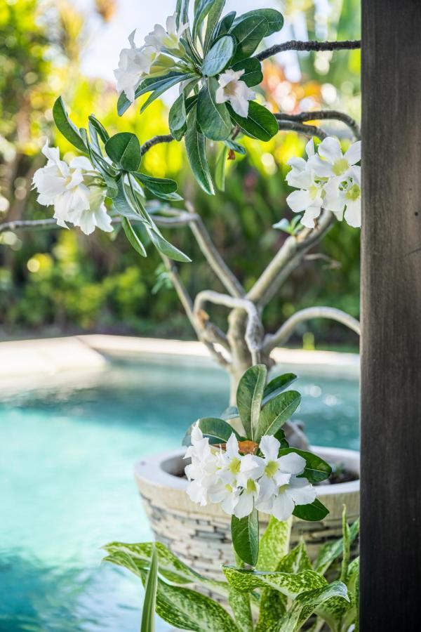 Jagaditha Villas Sanur Buitenkant foto